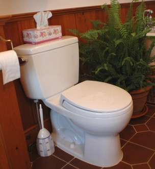 Low Flow Toilet