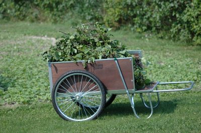 how to choose a wheelbarrow garden cart