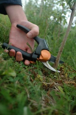 Fiskars Pruners Gardening Tool