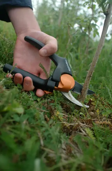 fiskars_pruners_gardening_tool