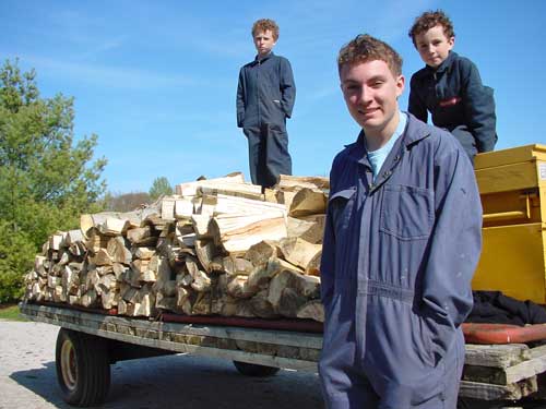 firewood splitting technique photo on stevemaxwell.ca