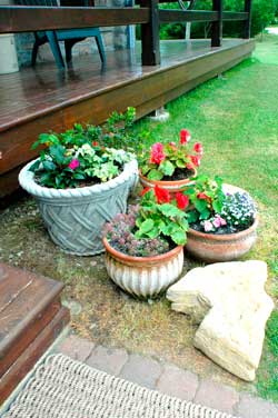 planting pot outdoor gardening