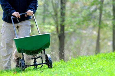 lawn and garden fertilizing fertilizer steve maxwell canada's handiest man