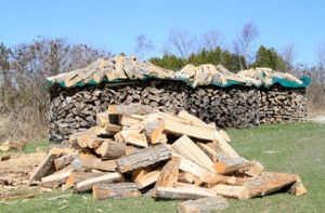 Round Pile Split Firewood