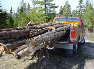 steve maxwell's ford f-150 hauling lumber