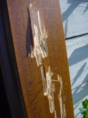 deck staining pressure washer damage