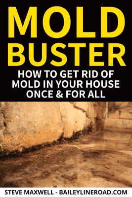 how to get rid of mold