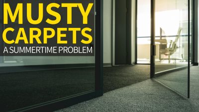 musty smells how to fix musty carpets