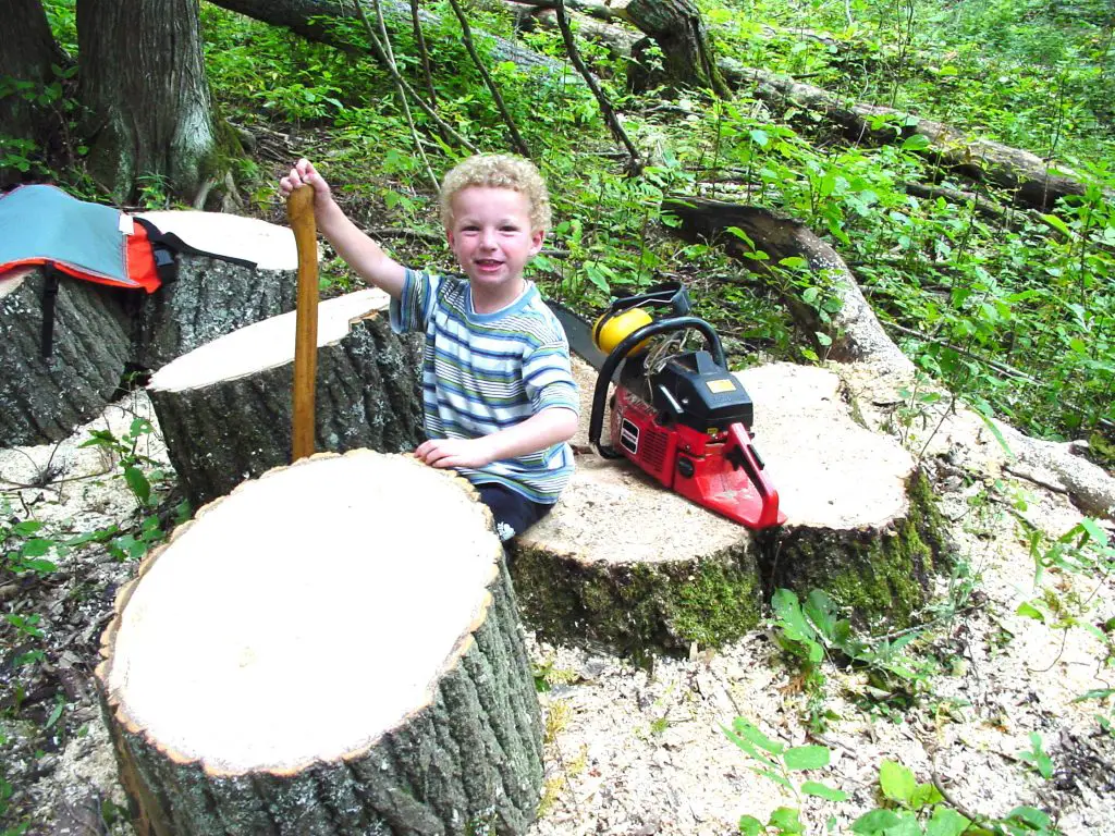 Joseph tree stump